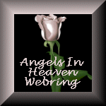 Angels In Heaven Logo