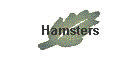 Hamsters