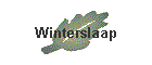 Winterslaap