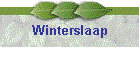 Winterslaap