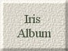 IRIS ALBUM BUTTON