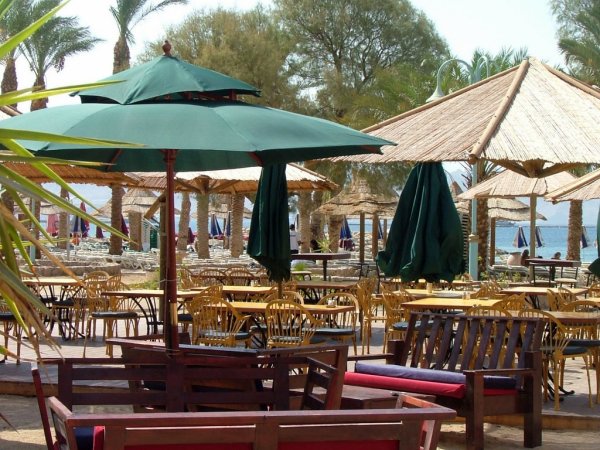  seafront restaurants and  bars .