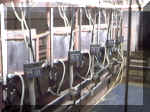 milkingparlor2.JPG (81106 bytes)