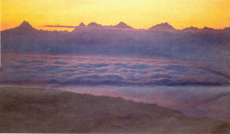 wpe67683.gif (296215 octets)