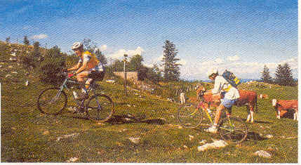 wpe15726.gif (89990 octets)