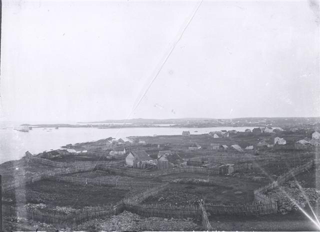 Bonavista c 1900