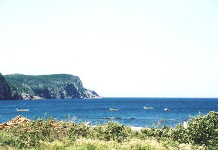 Stock Cove