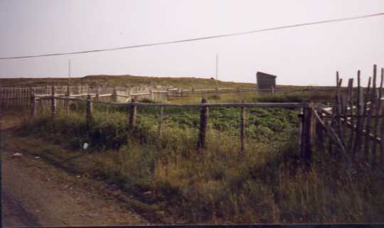 Vegetable Garden, cape Bonavista