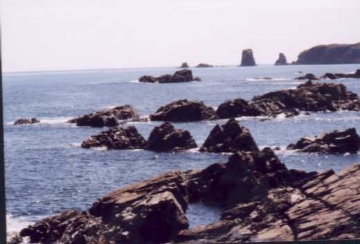 Rocky Coastline