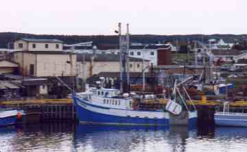 Longliner in Bonavista Harbour