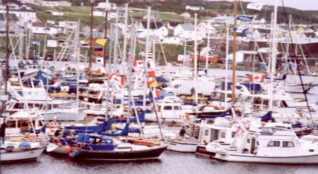 Flotilla in Bonavista Harbor