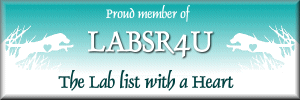 To the LabsR4U main page