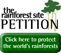 http://www.therainforestsite.com