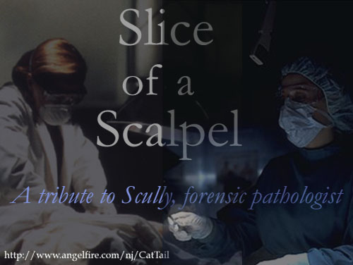 Slice of a Scalpel