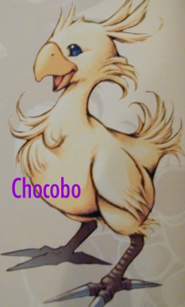 CHOCOBO