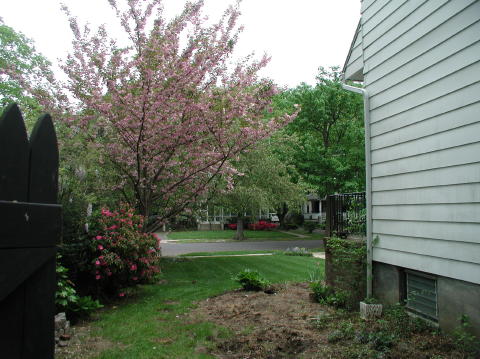 "Before" - front side yard