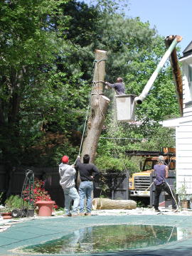 They made it look easy