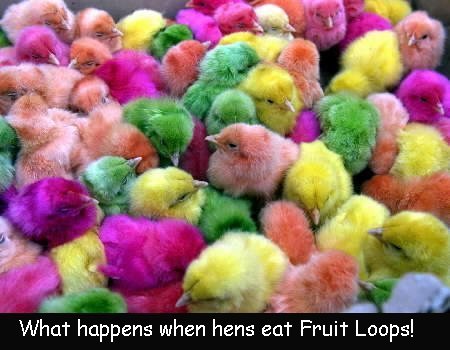Fruit-looped chicks!