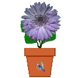 The Site Fights Spirit Flowers