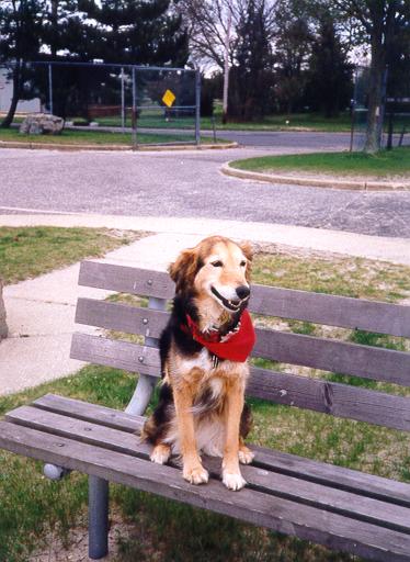 Pipkin on park bench