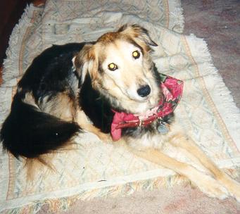 Pipkin Comfort in her famous reclining pose