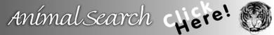AnimalSearch Click Here