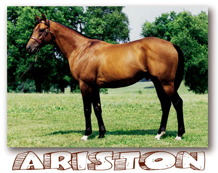 Ariston