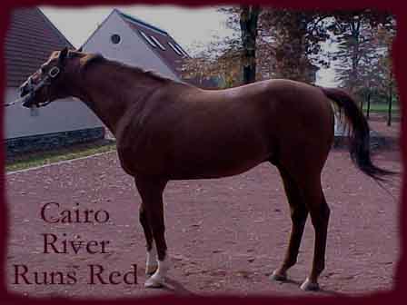 Cairo River Runs Red