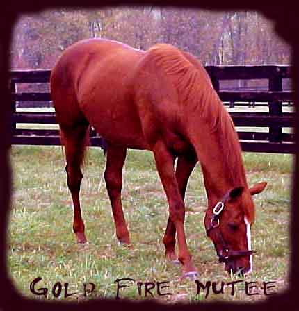Gold Fire Mutee