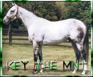 Key the Mint