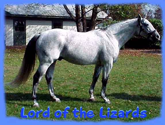 Lord Of The Lizards
