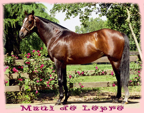 Maui De Lepre