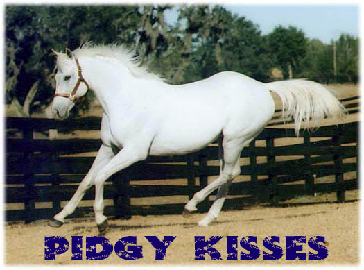 Pidgy Kisses