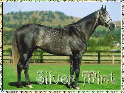 Silver Mint