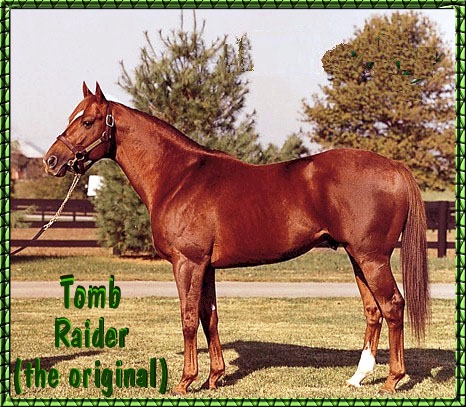 Tomb Raider (the Original)