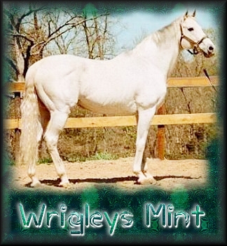 Wrigleys Mint
