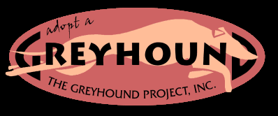 Adopt a Greyhound!