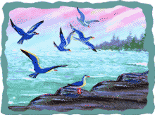 d117.gif (16554 bytes)