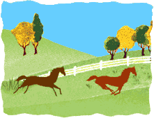 g263.gif (10652 bytes)