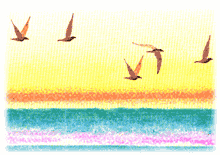 k25.gif (15487 bytes)