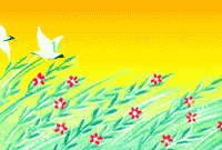 w17.gif (17504 bytes)