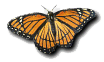 Butterf16.gif (4451 bytes)