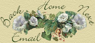 morningglorylinks.jpg (17697 bytes)