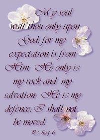 plaqAplBlsm1.jpg (19846 bytes)