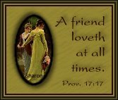 sfriendsplaque.jpg (7928 bytes)