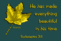 ssplendorplaque.gif (8724 bytes)