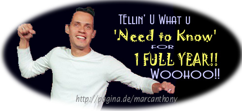 Celebrating 1 Year Online