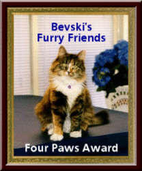 Bevski Award