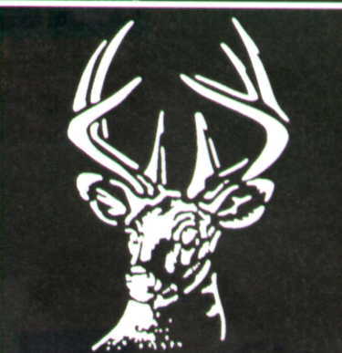 Deer Head