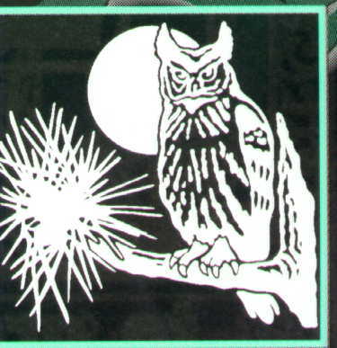 Owl